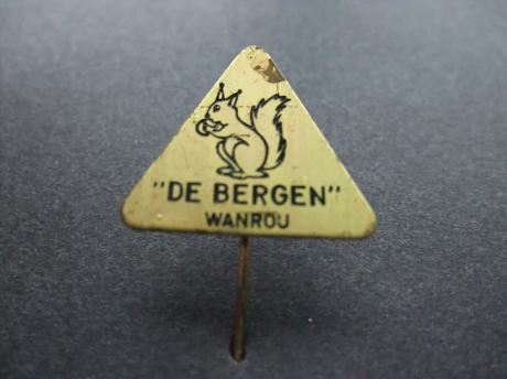 Camping vakantiepark de Bergen Wanroij Noord-Brabantse gemeente Sint Anthonis eekhoorn